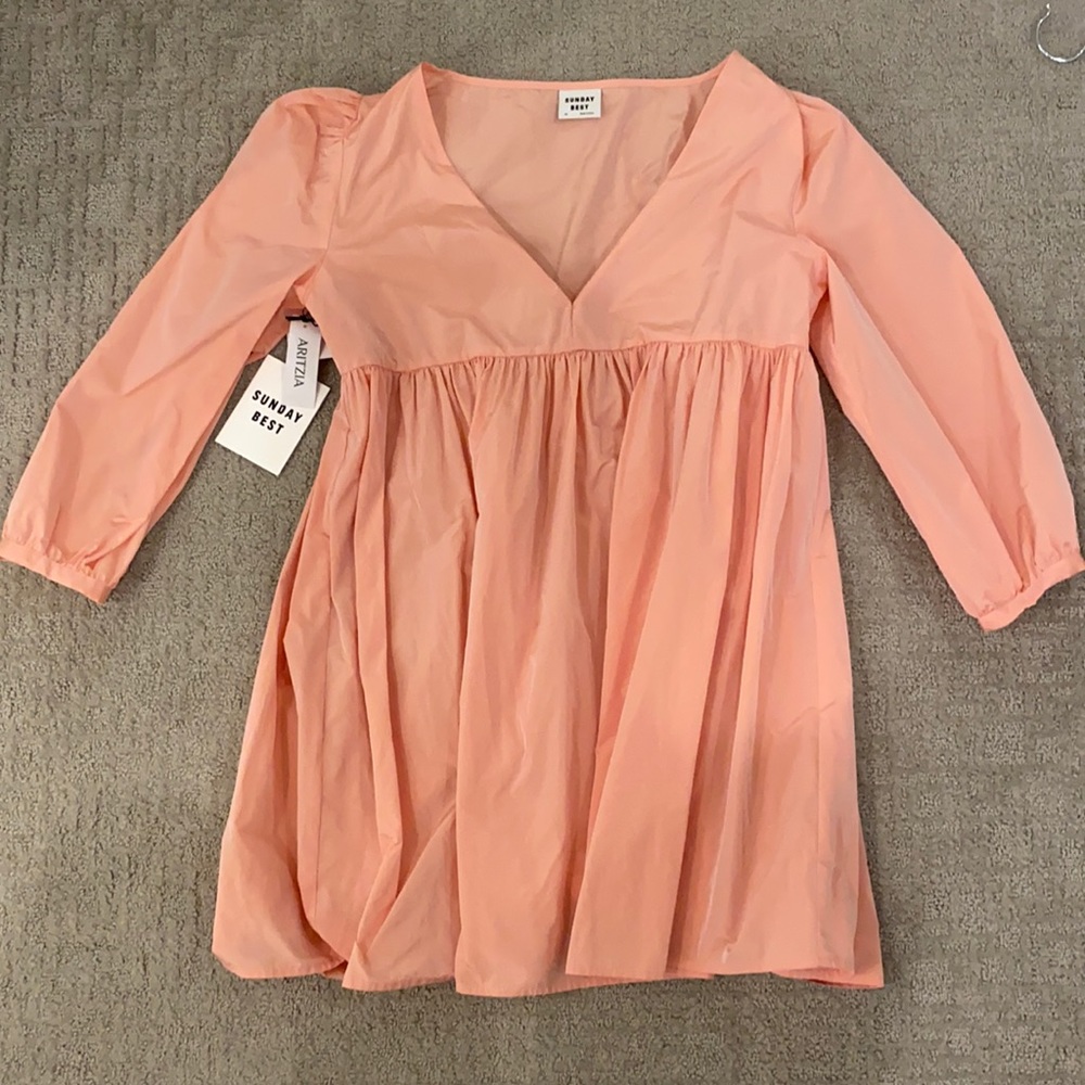 Sunday Best from Aritzia Rose Dress